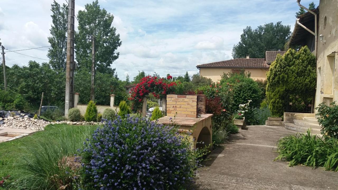 Gite Abeille-Soleil Saint-Nicolas-de-la-Grave Zewnętrze zdjęcie